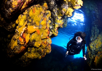 Agenzia/operatore Turistico Blue Diving Ustica